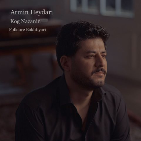 دانلود آهنگ آرمین حیدری کوگ نازنینم دانلود آهنگ آرمین حیدری کوگ نازنینم